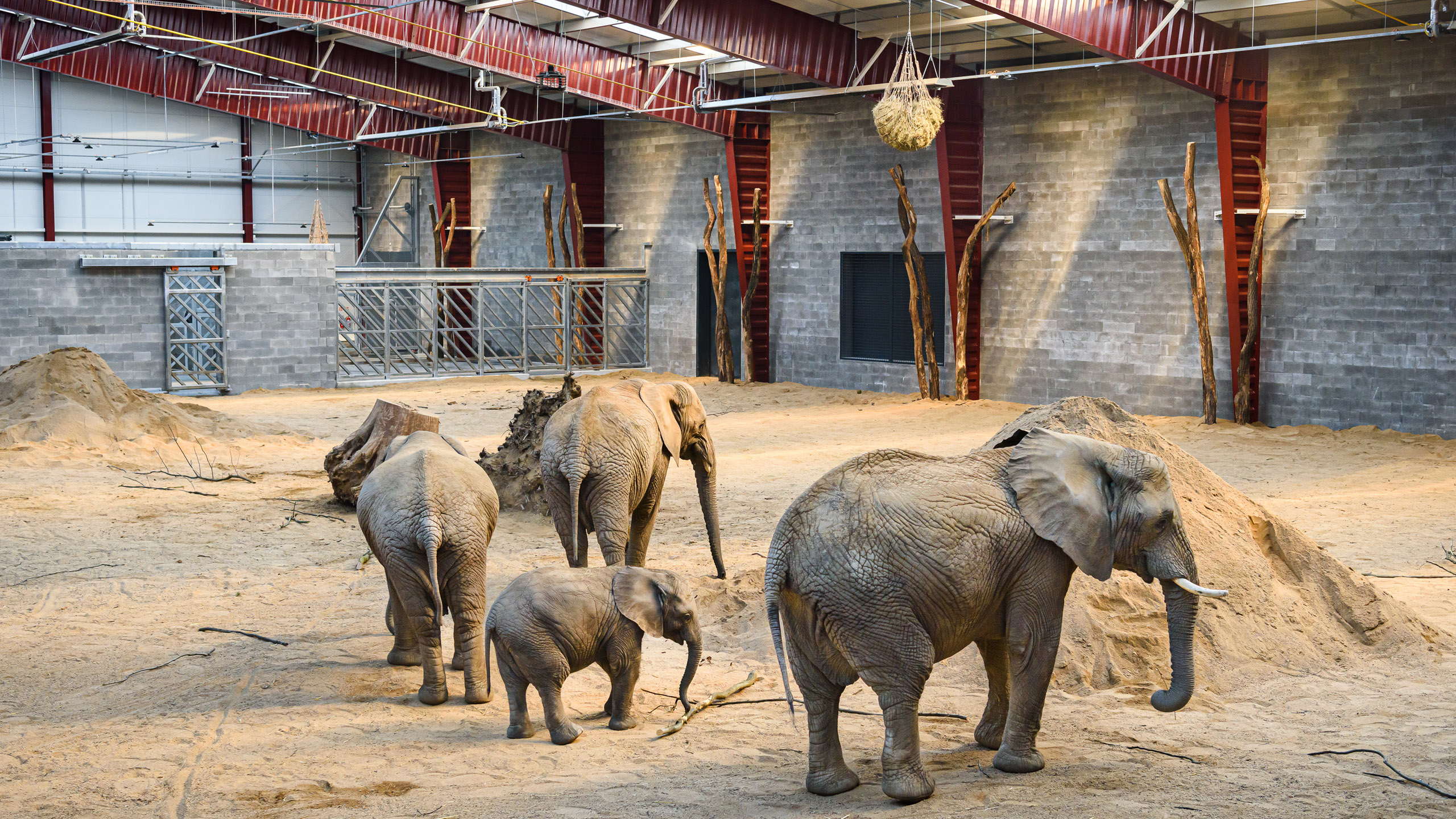 Chovné zařízení pro slony